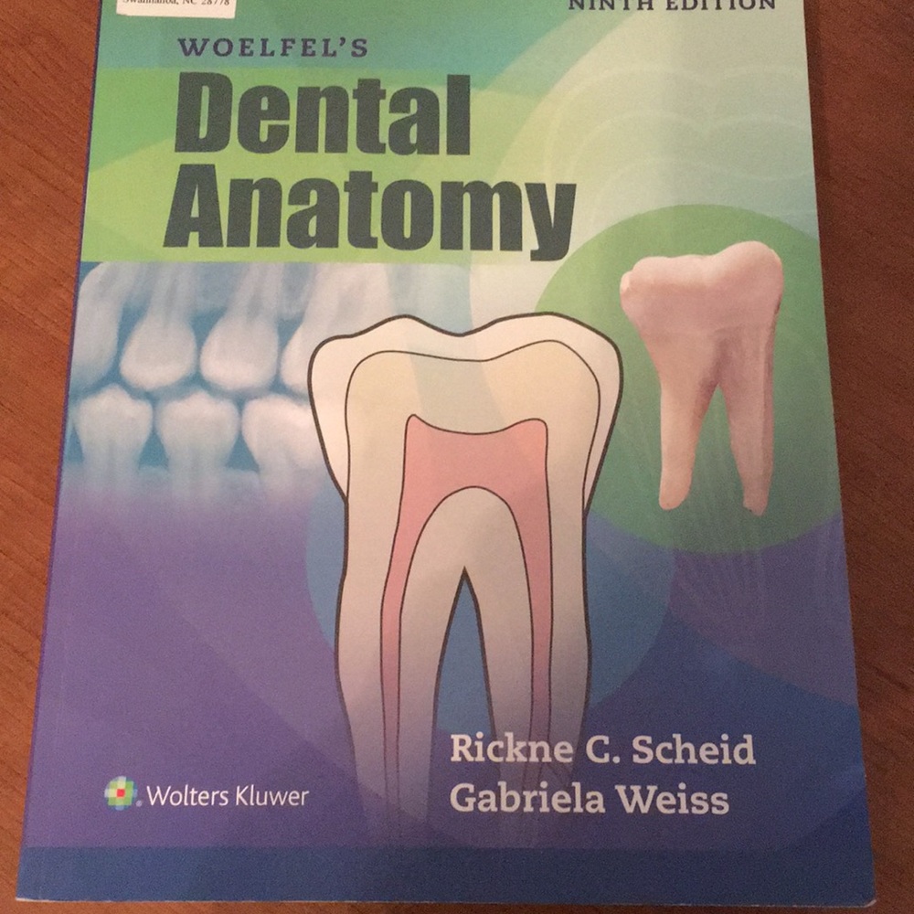 Dental anatomy 9th edition